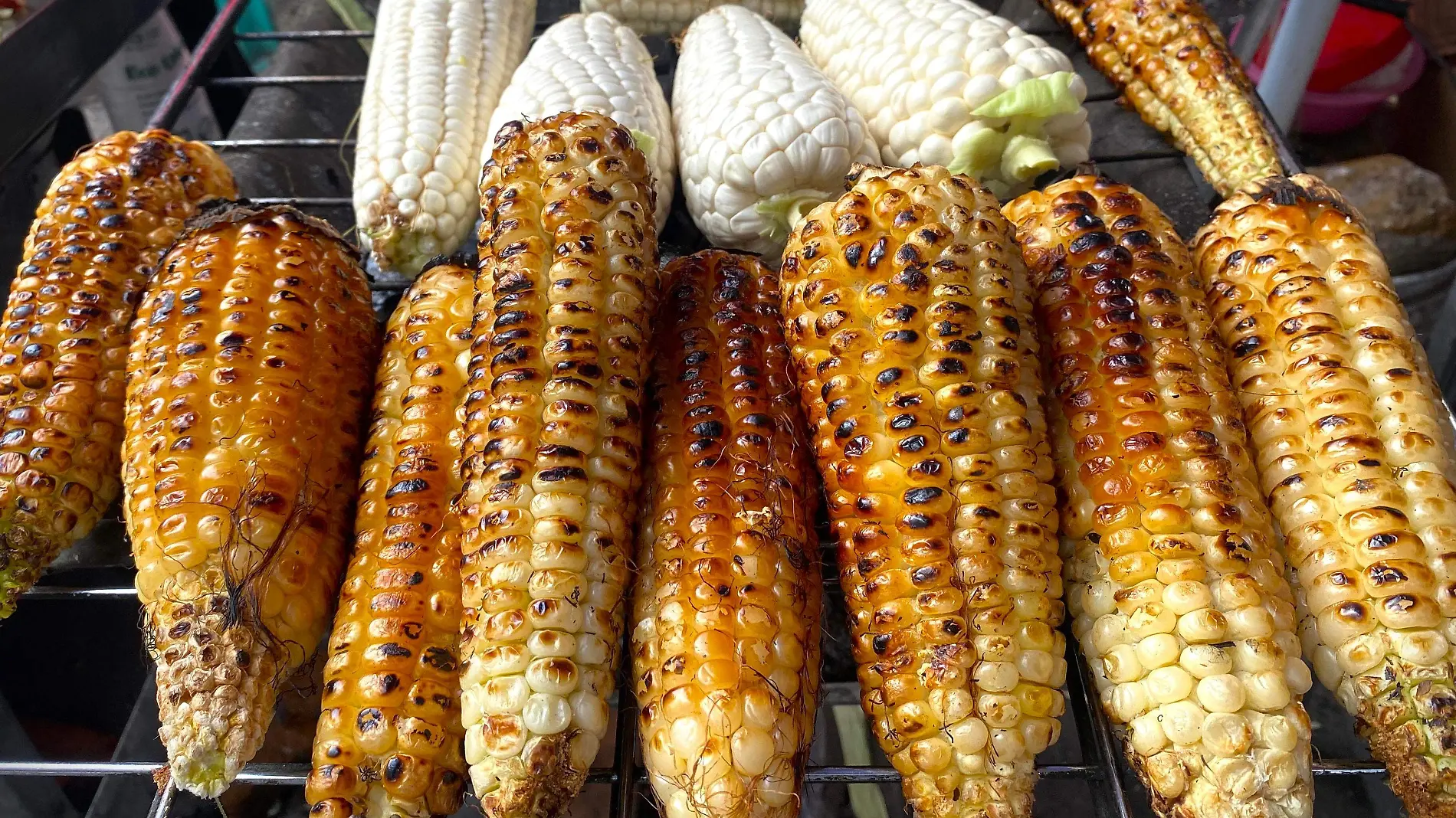 elotes-enteros-cuernavaca